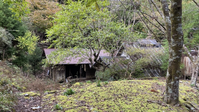 どうあがいても、羽生蛇村。