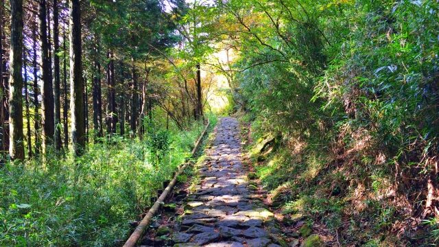 ひとつ階段を上ると、見える景色も変わってしまう首狩神社。