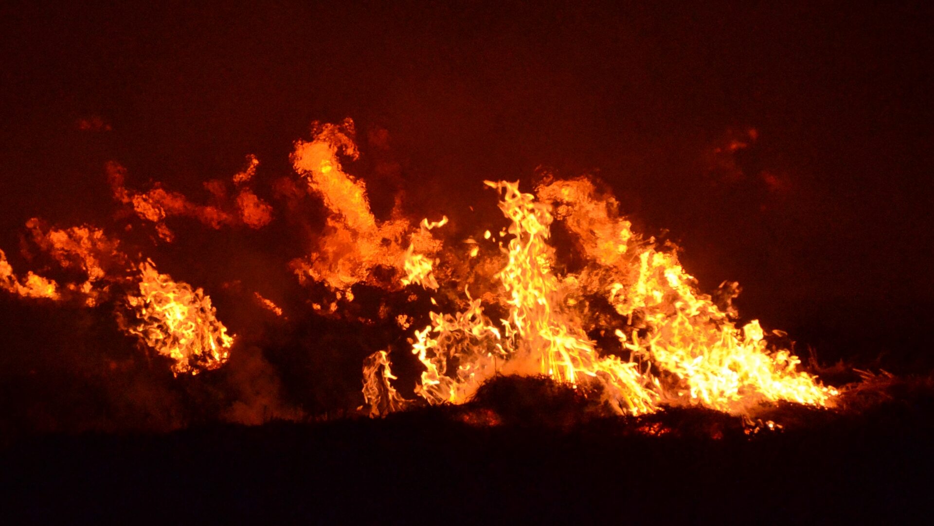 千日デパート、閉店時間の夜に。